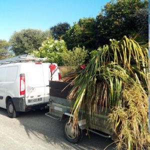 photo-évacuation-jardin-service-paca